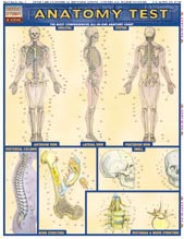 Title details for Anatomy Test by Vince Perez - Available